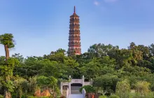 Pazhou Pagoda