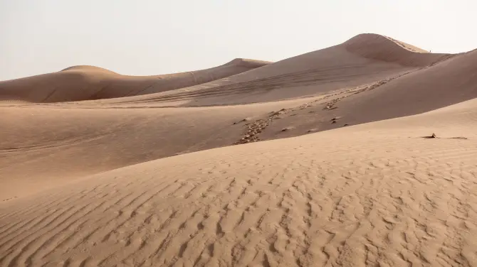 5_Dubai Desert Conservation Reserve