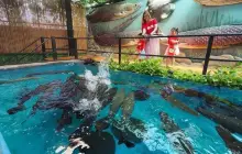 芭堤雅怪物水族館