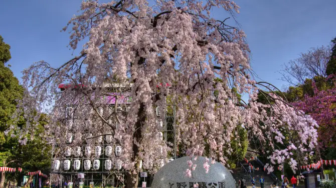 2_Ueno-Park