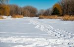 Mount Royal Park