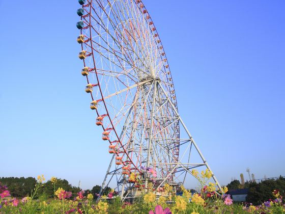 曼谷夜市摩天輪