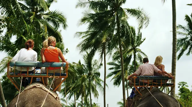 4_Elephant Interactions in Koh Samui