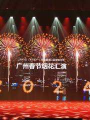 Guangzhou Spring Festival fireworks show