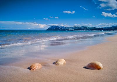 Bentota Beach