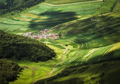 沽源