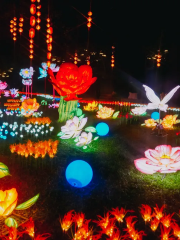 The first "Joint Music Lantern Festival" in Tangjia Ancient Town