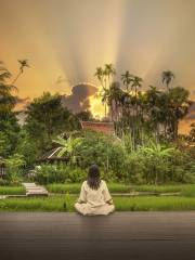 Chiang Mai Meditation