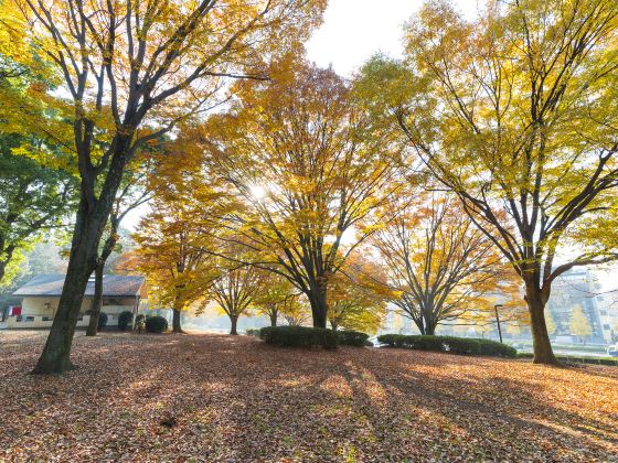 Parco Yoyogi