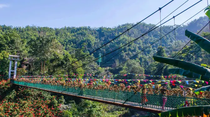 1_Xishuangbanna Virgin Forest Park