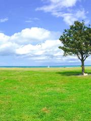 Montrose Beach