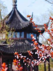 Humble Administrator's Garden (Zhuozheng Garden)