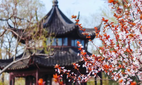 Humble Administrator's Garden (Zhuozheng Garden)