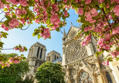 Catedral de Notre Dame