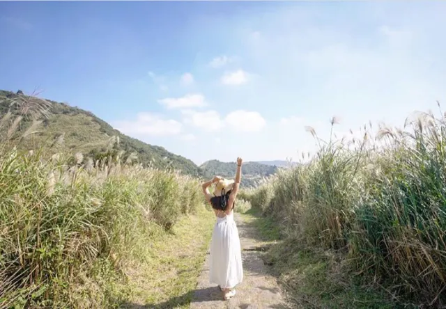 【芒草季懶人包】網美打卡！精選全台11個賞芒草景點，秋高氣爽出遊去！