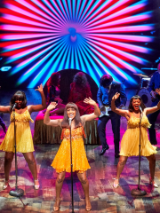 The Tina Turner Musical