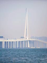 Shenzhen Bay Bridge