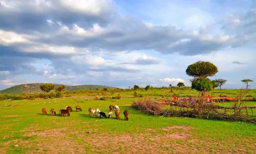 Masai Village