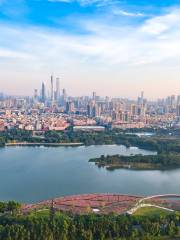 Haizhu Lake Park