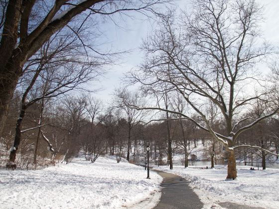 Parc du Mont-Royal