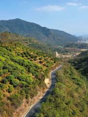 Huiyang Baiyunzhang Municipal Nature Reserve