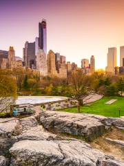 Zoo di Central Park