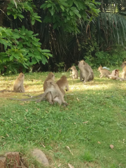 Muara Angke Wildlife Refuge