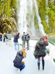 Milford Sound Scenic Cruises