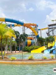 Austin Heights Water & Adventure Park