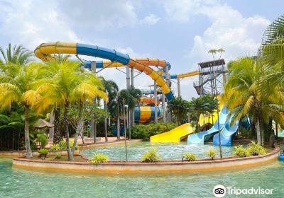 Austin Heights Water & Adventure Park