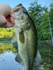 Lake Lefferts Fishing Spot