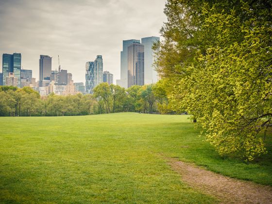 Sheep Meadow