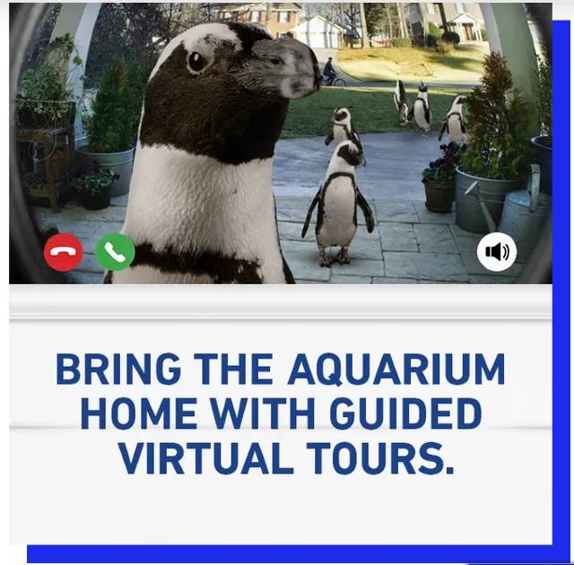 Amazing Virtual Zoo Tours & Museums to Explore on Your Couch