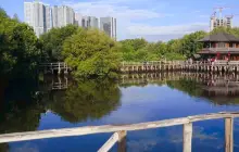 Taman Wisata Alam Mangrove Angke Kapuk