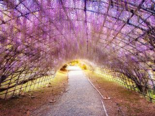 北九州好去處