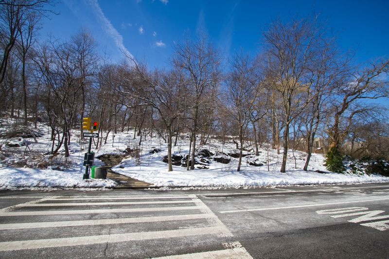 Mount Royal Park