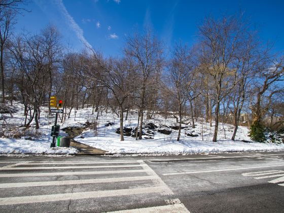 Parc du Mont-Royal