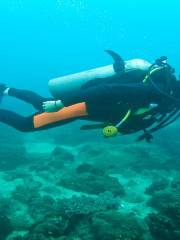 Xichong Yougan Bay Diving Center