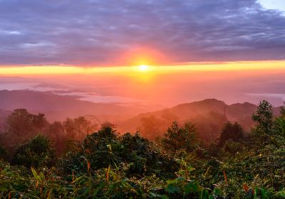 Horton Plains National Park