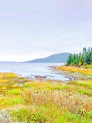 Parc Jacques-Cartier