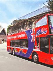 Big Bus Tours Sydney