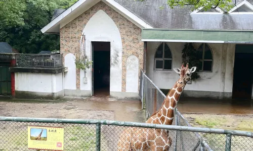 Wenzhou Zoo