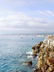 Le Cap de Nice