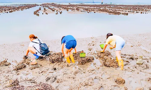 廈門趕海