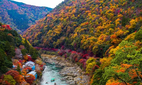 Arashiyama Park