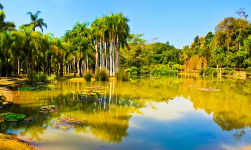 Xishuangbanna Tropical Botanical Garden, Chinese Academy of Sciences