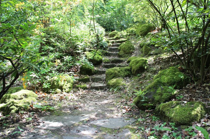 虎山親山步道