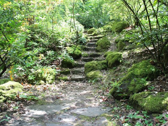 Hushan Hiking Trail