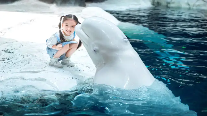 4_Hang Zhou Chang Qiao Polar Ocean Park