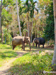 Phuket Elephant Sanctuary